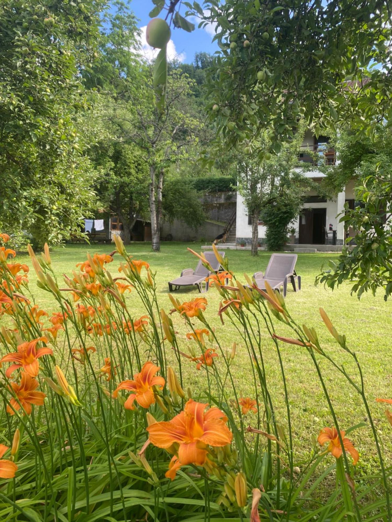 Konjic Lakeside Resort Exteriér fotografie